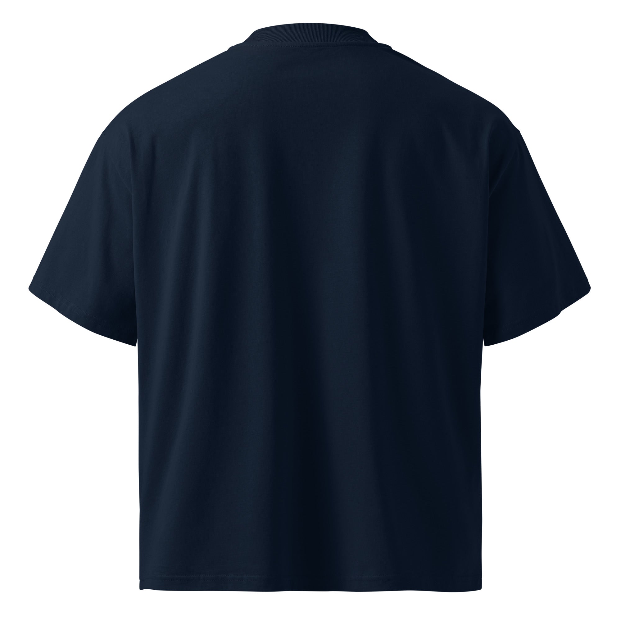 Alexander Miles organic oversized tee back view